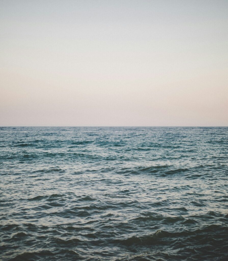 Wizja fundacji Malachite Minds